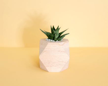 mong-bui-NznxEfw9iVI-unsplash