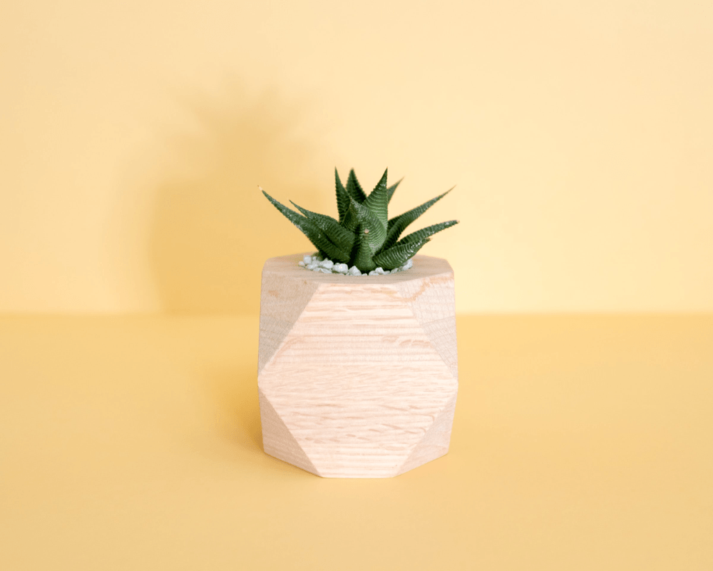 10 Reasons Why You Should Be Creating Sites With Total